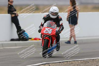 media/Mar-11-2023-SoCal Trackdays (Sat) [[bae20d96b2]]/Turn 2 Backside (1150am)/